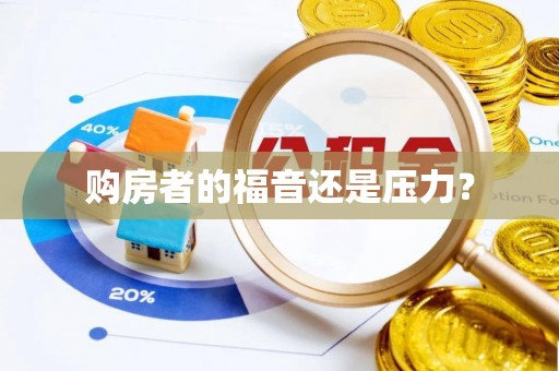 包河购房者的福音还是压力？