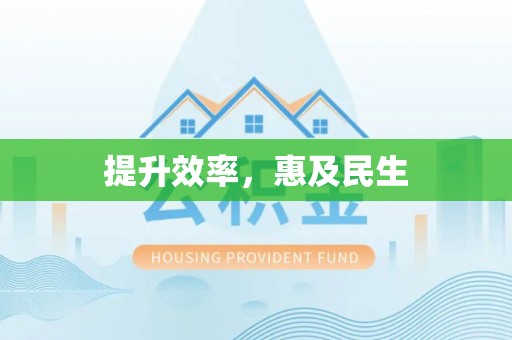 包河提升效率，惠及民生