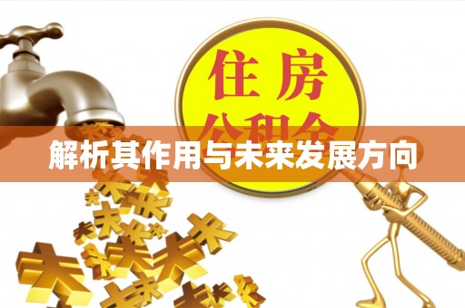 包河解析其作用与未来发展方向