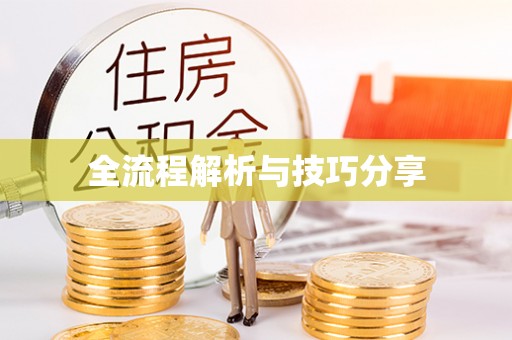 包河全流程解析与技巧分享